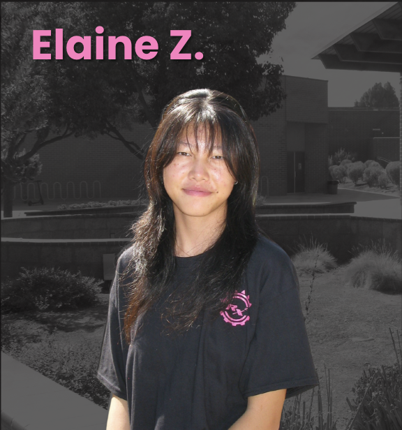Elaine Z. — Mechanical