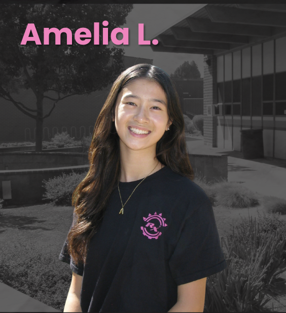 Amelia L. — Electrical