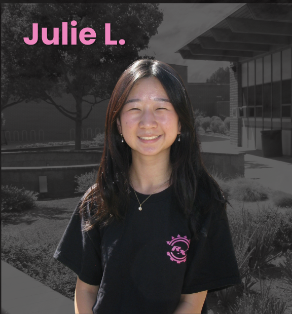 Julie L. — Operations Lead / Project Manager